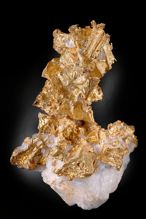Native Gold specimen showing natural metallic colour, lustre and crystalline form