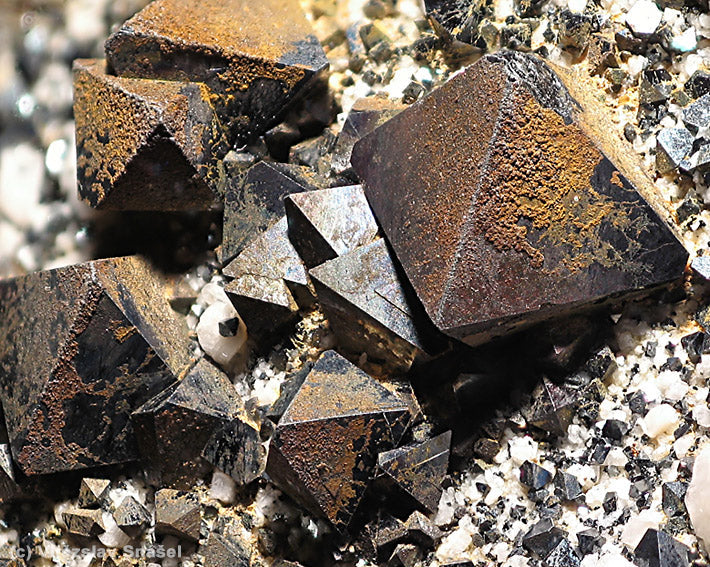 Iron-black Magnetite crystal with a metallic lustre