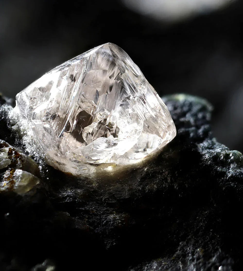 Transparent colourless Zircon crystal on dark mineral matrix